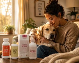 The First 3 Things to Check When Your Dog Seems Off (But You Can't Quite Tell Why)