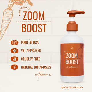 Zoom Boost Electrolyte