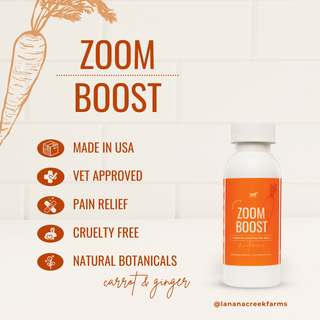 Zoom Boost On-The-Go (12 Pack)